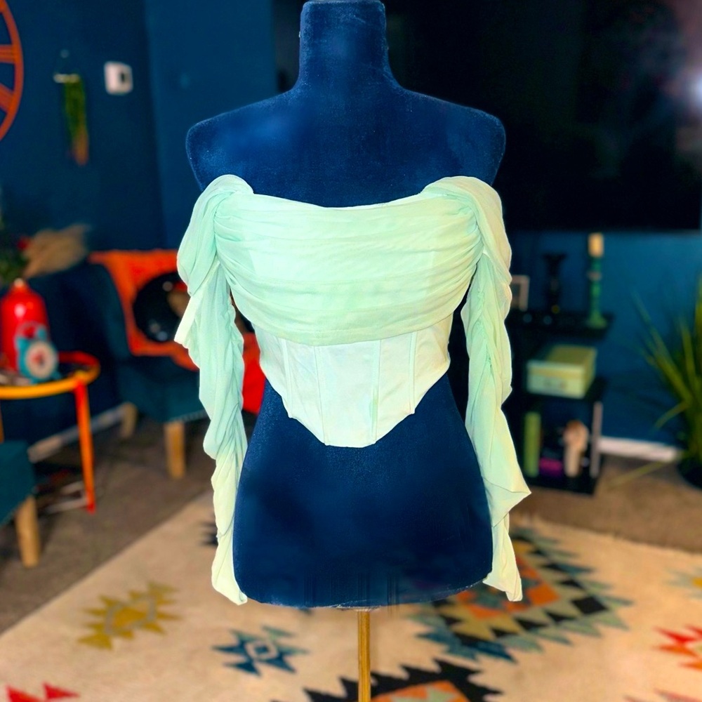 Colla Minty Mesh Off-Shoulder Long Sleeve Corset Top // Size M